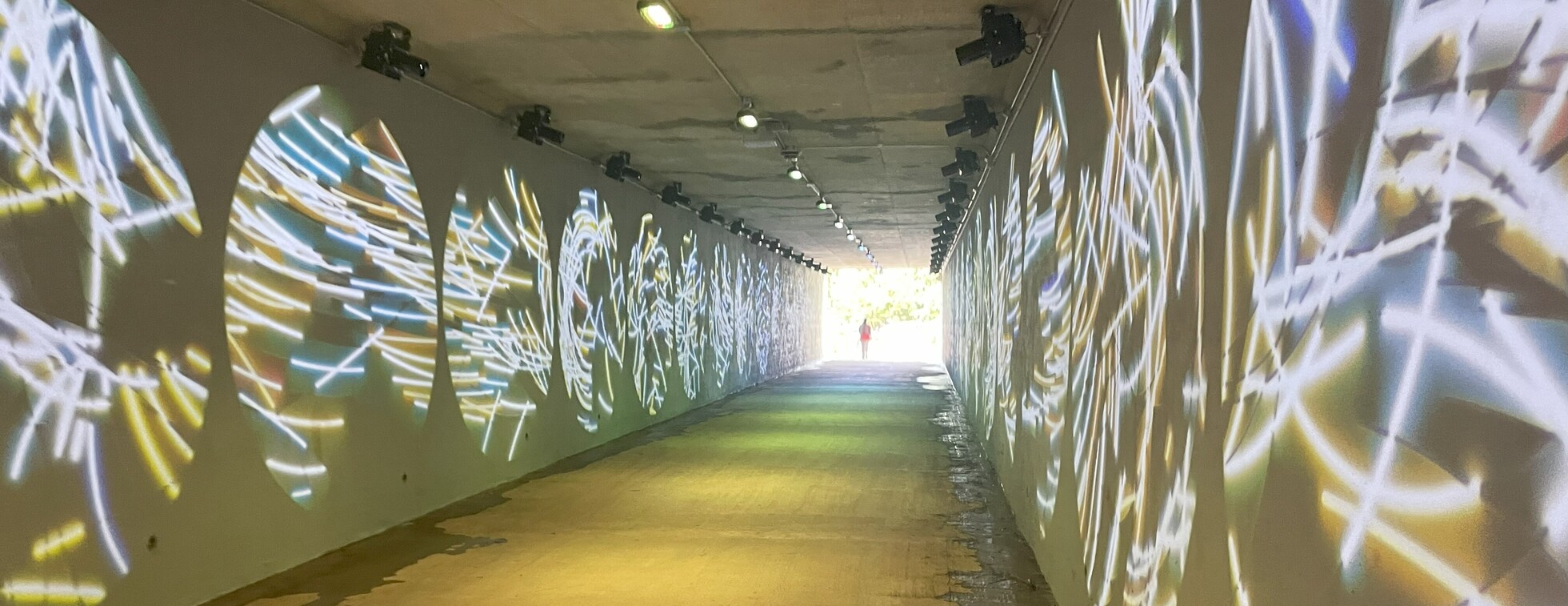 Public hike: Stroll the Torrence Creek Greenway